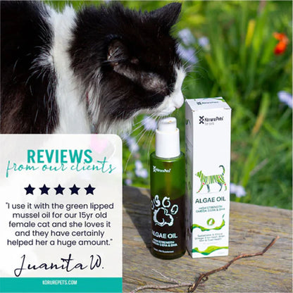 A black and white cat smelling Kōrure Pets Algae Oil outdoors. Features a 5-star customer review stating it helped their 15-year-old female cat a huge amount.