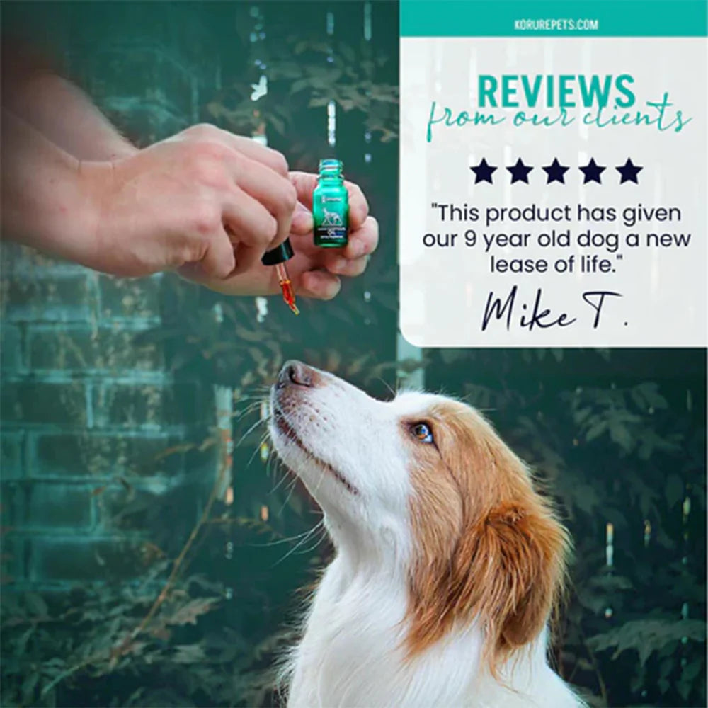 A dog looking up eagerly at Kōrure Pets oil drops. Includes a 5-star customer review stating this product has given their 9-year-old dog a new lease of life.