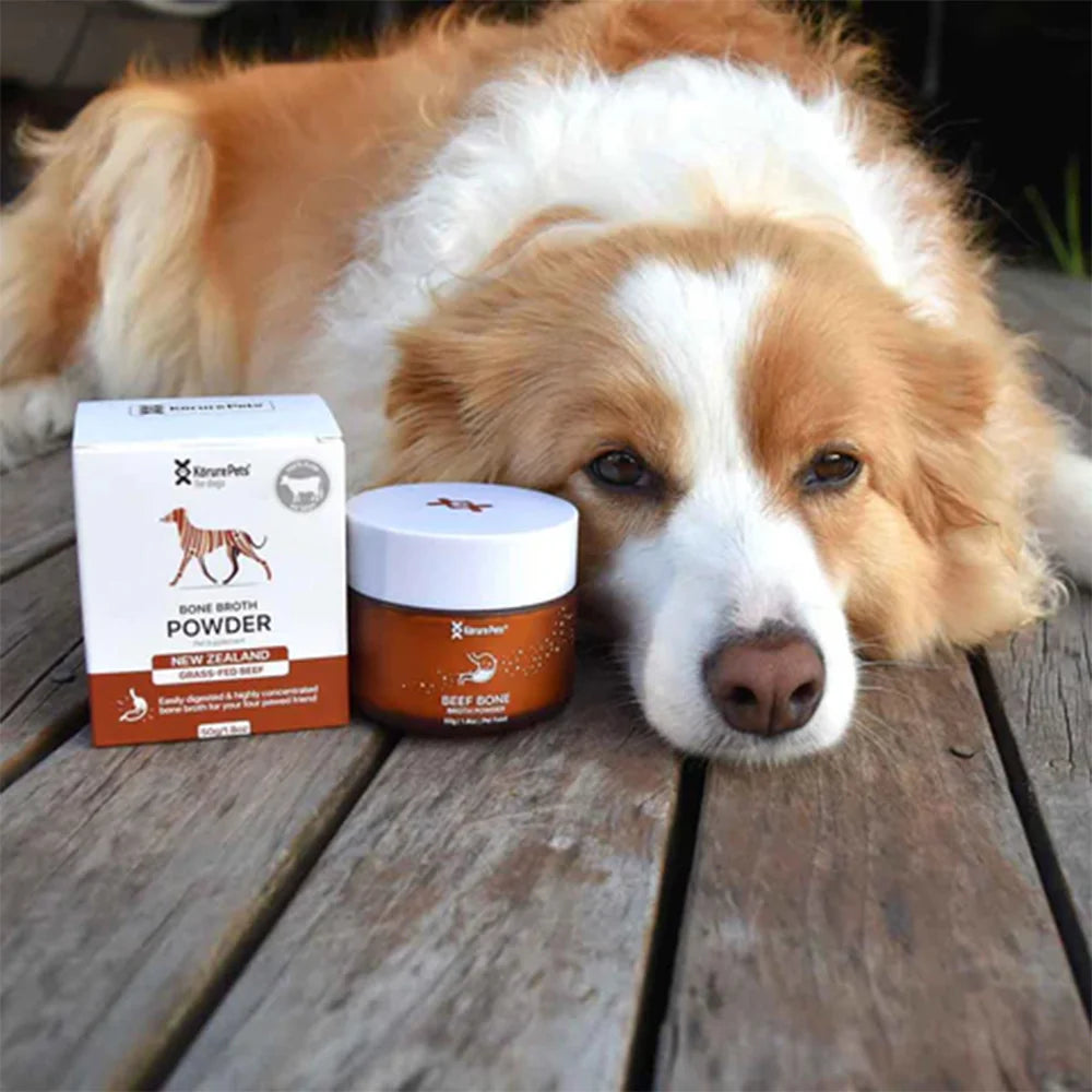 A tired, fluffy dog resting its head next to Kōrure Pets Beef Bone Broth Powder packaging. The perfect warm liquid meal to hydrate and revitalize sick or recovering dogs losing their appetite.