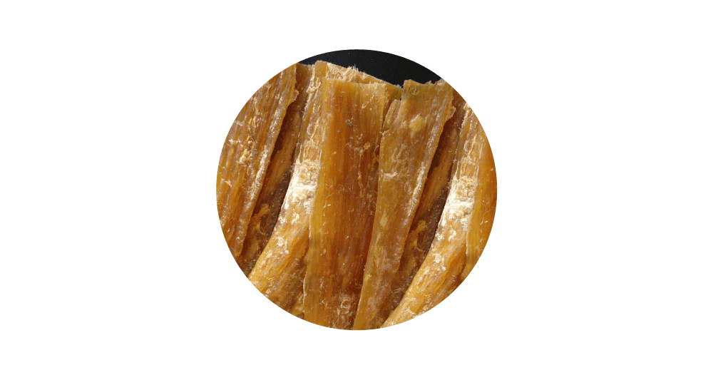 A detailed close-up of a single 100% pure air-dried New Zealand beef paddywack (neck ligament), showcasing its dense, fibrous, and durable texture for long-lasting chewing.