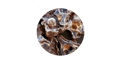 A close-up of a single 100% pure air-dried New Zealand veal neck bone, showing the porous and crunchy bone structure that helps scrape away plaque.