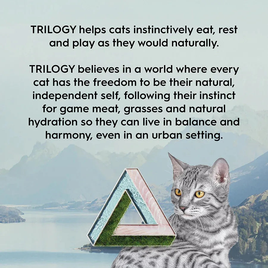 Trilogy brand philosophy infographic featuring a silver tabby cat and the Trilogy triangle. Highlighting natural hydration, game meat, and grasses to support feline hunting instincts in an urban setting.
