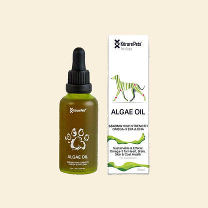 Front view of Kōrure Pets Algae Oil for dogs. A 50ml glass dropper bottle and box highlighting 3840mg high-strength plant-based Omega-3 EPA and DHA.