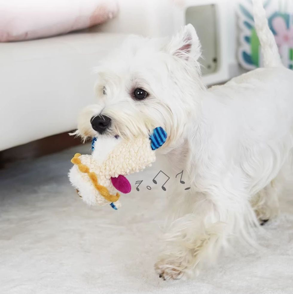 A small white dog walking indoors and carrying the plush lion crinkle toy in its mouth, featuring musical note graphics to illustrate the dual-sound squeaker and crinkle technology.