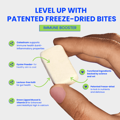 Wonderfur Immune Booster freeze-dried yogurt chew with its featured functional ingredients