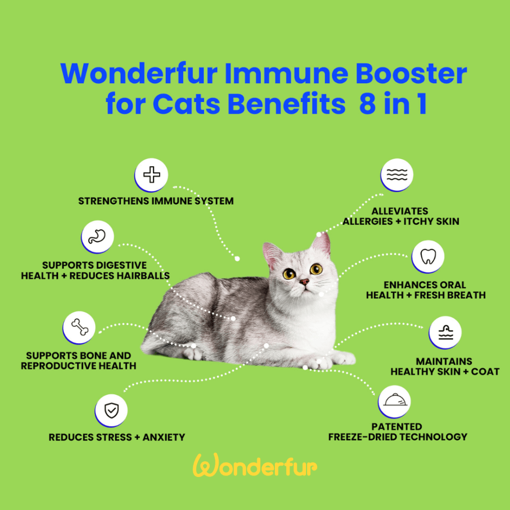 Wonderfur Bites Immune Booster infographic outlining eight functional benefits for cats