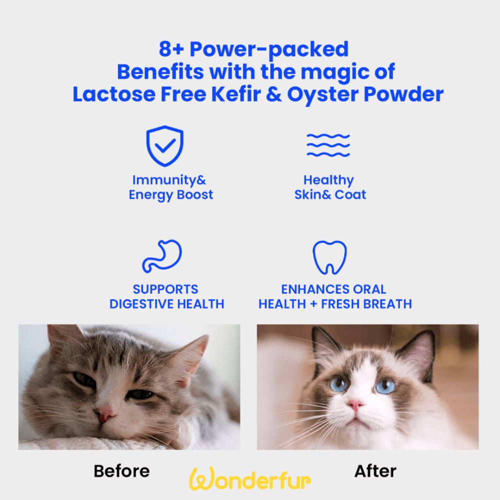 Wonderfur Bites Immune Booster infographic outlining eight functional benefits for cats