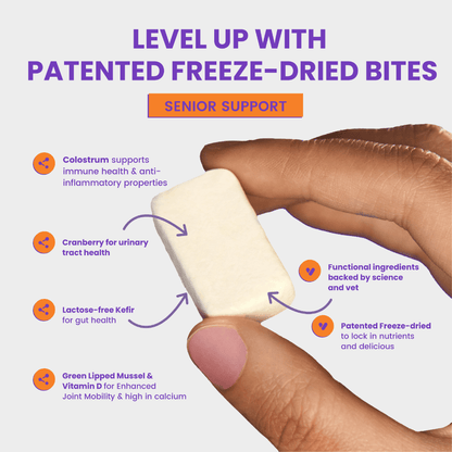 Wonderfur Senior Support freeze-dried yogurt chew with its featured functional ingredients
