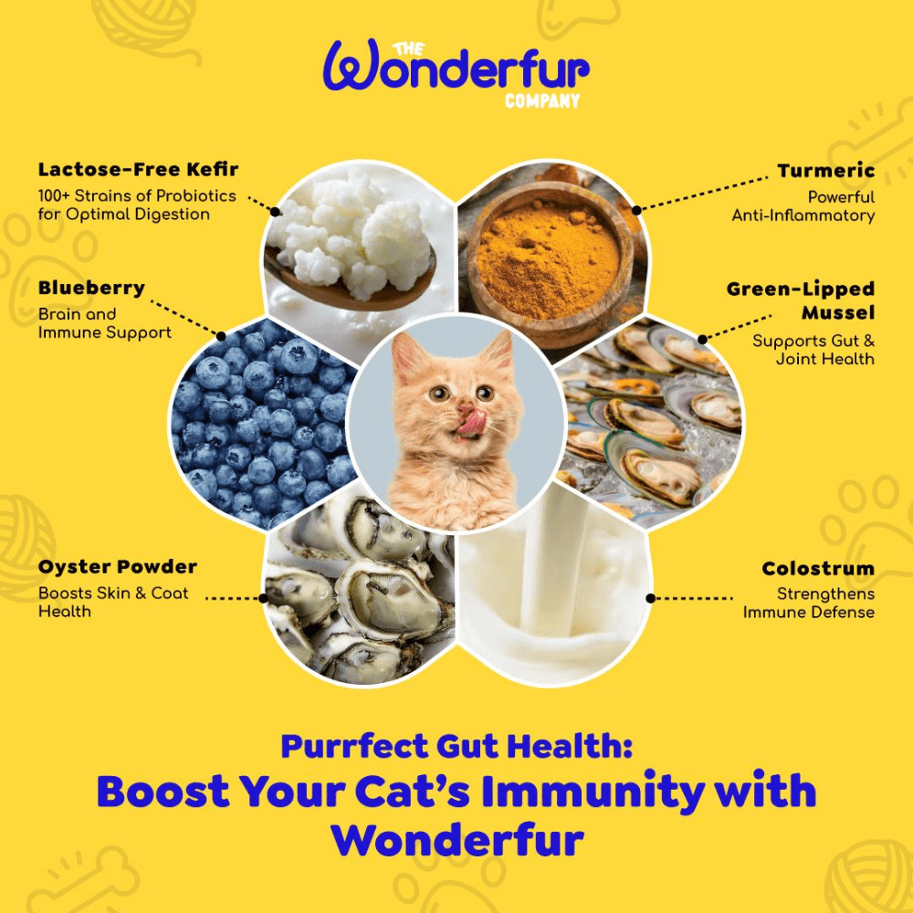 Featured ingredients in Wonderfur Bites Senior Support freeze-dried yogurt chews for cats