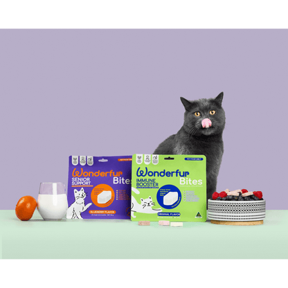 Wonderfur Bites Senior Support and Immune Booster freeze-dried yogurt chews for cats