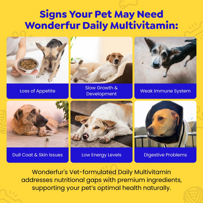 Wonderfur infographic showing possible signs of nutritional concerns in pets