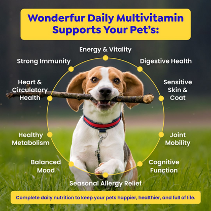 Wonderfur Daily Multivitamin pet wellness benefits infographic