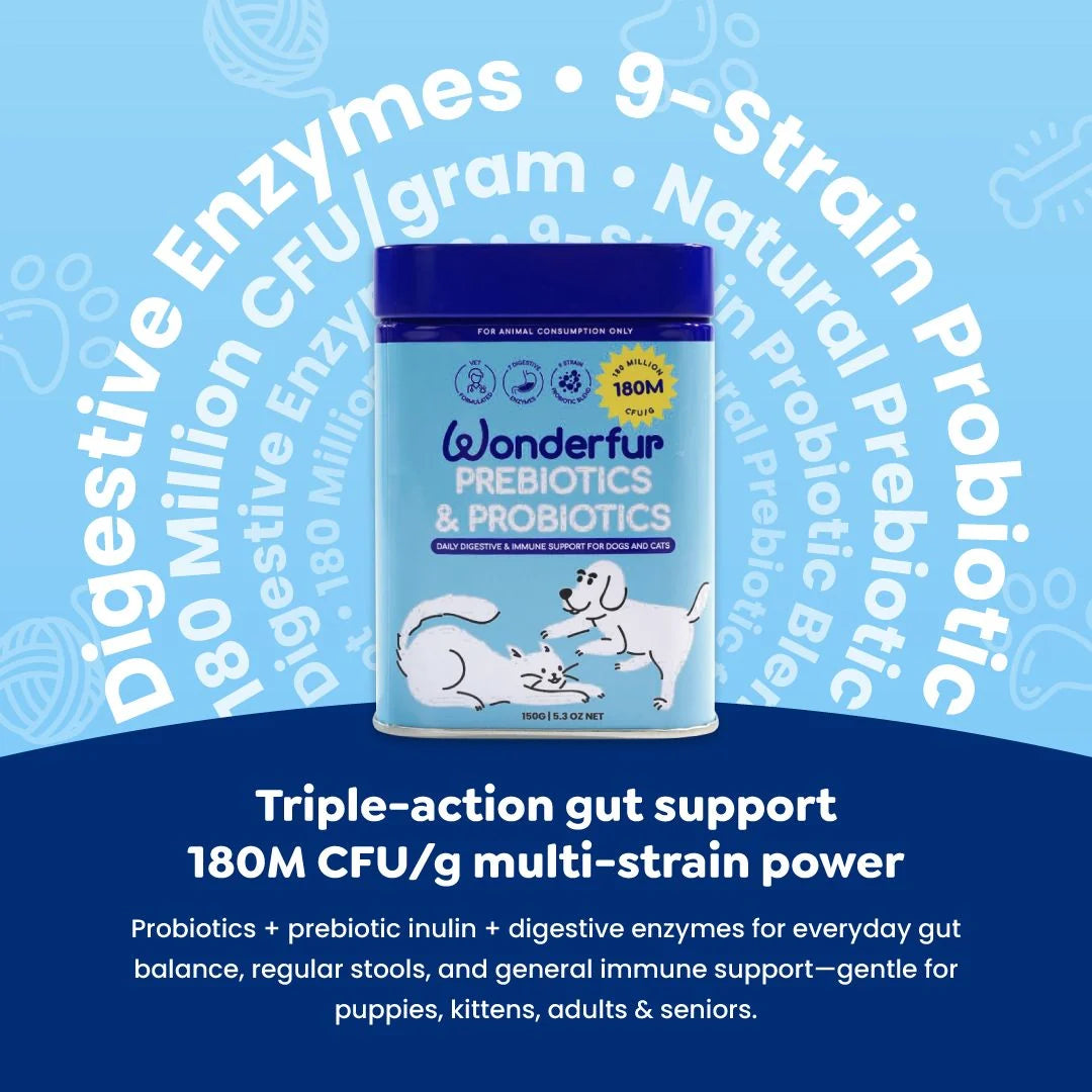 Wonderfur Prebiotics and Probiotics 180 million CFU per gram gut support powder