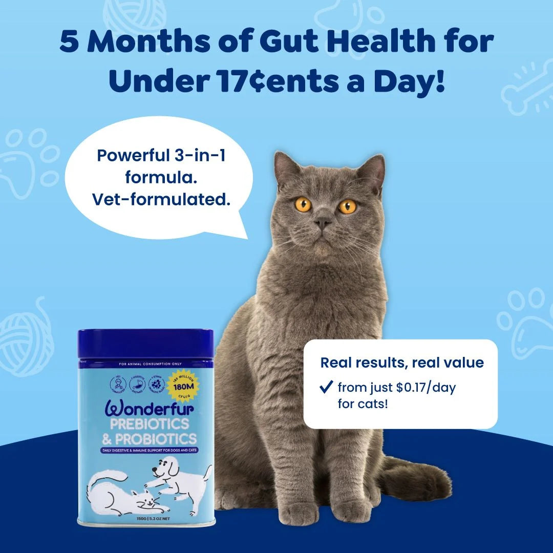 Wonderfur Prebiotics and Probiotics daily serving value for cats