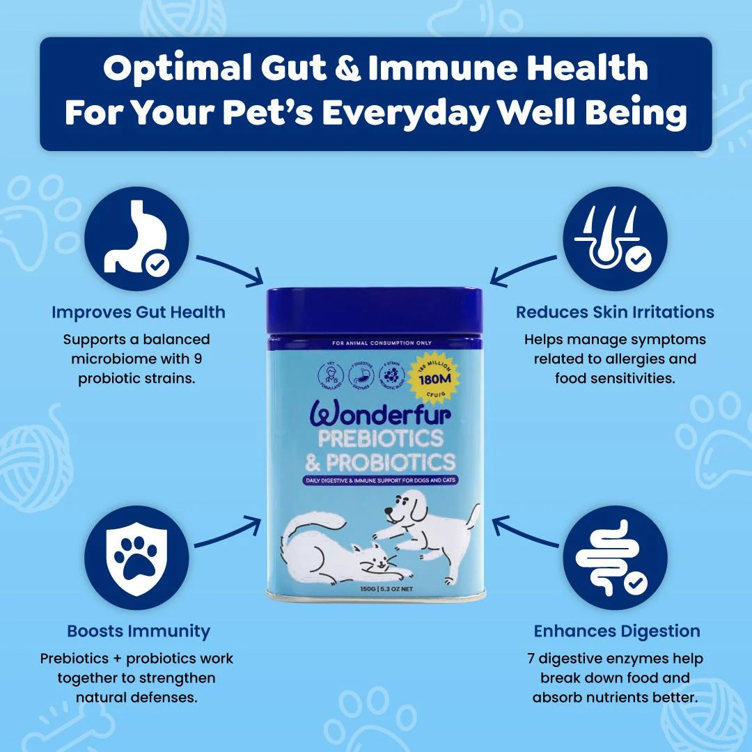 Wonderfur Prebiotics and Probiotics digestive and immune support infographic