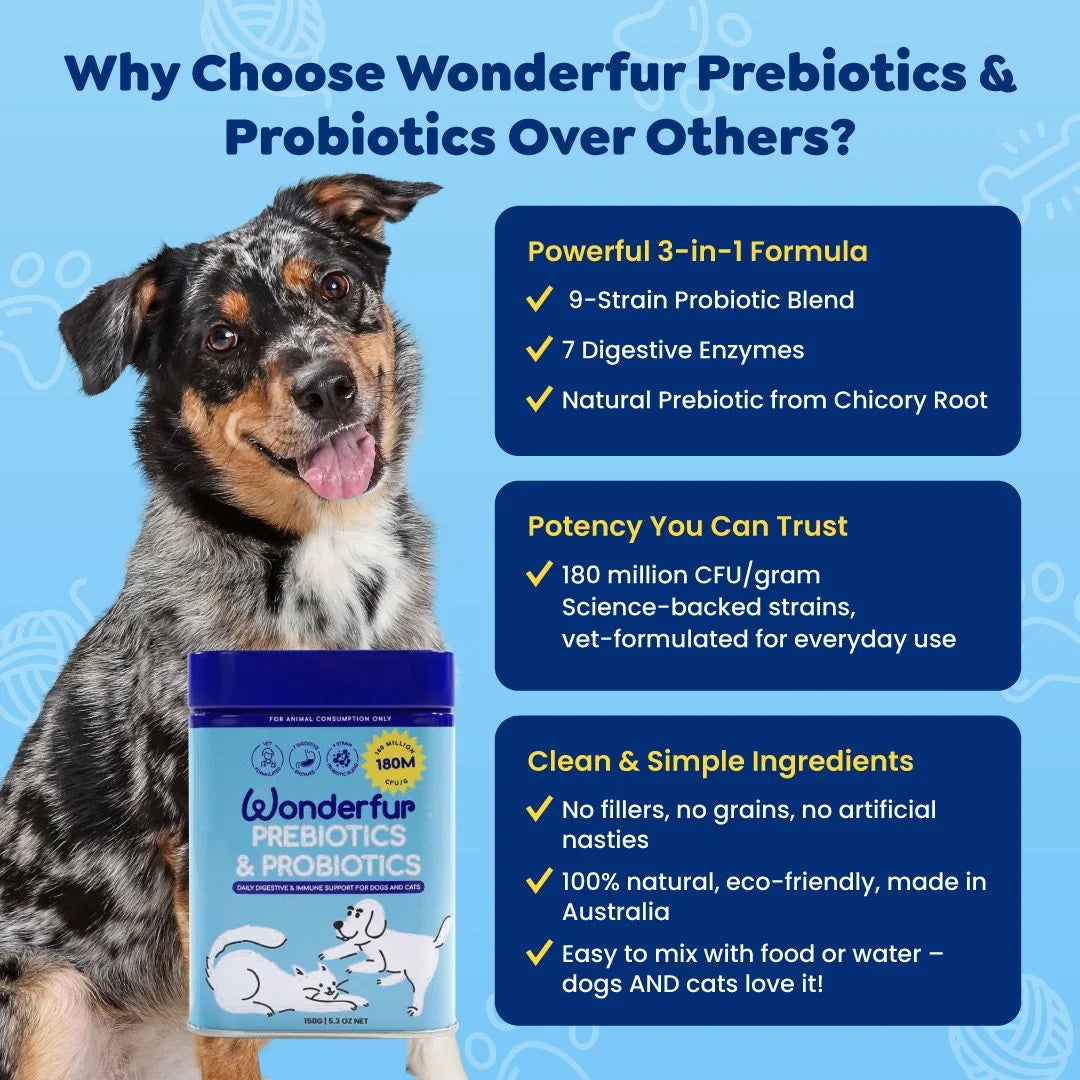 Wonderfur Prebiotics and Probiotics formula and product features
