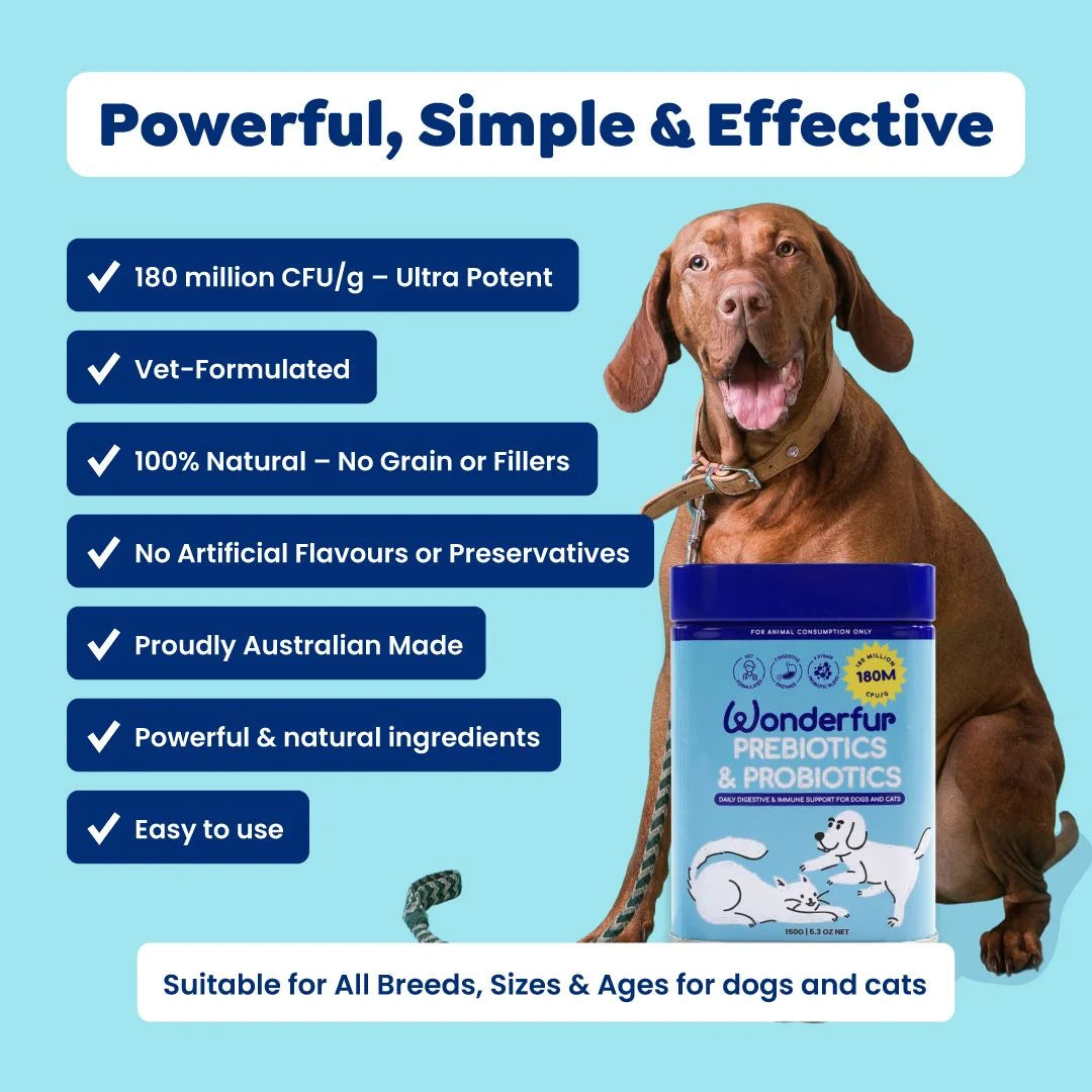 Wonderfur Prebiotics and Probiotics product features with a dog