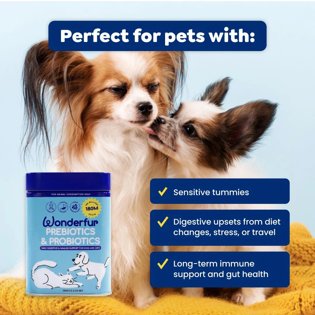 Wonderfur digestive support powder shown with an adult dog and puppy