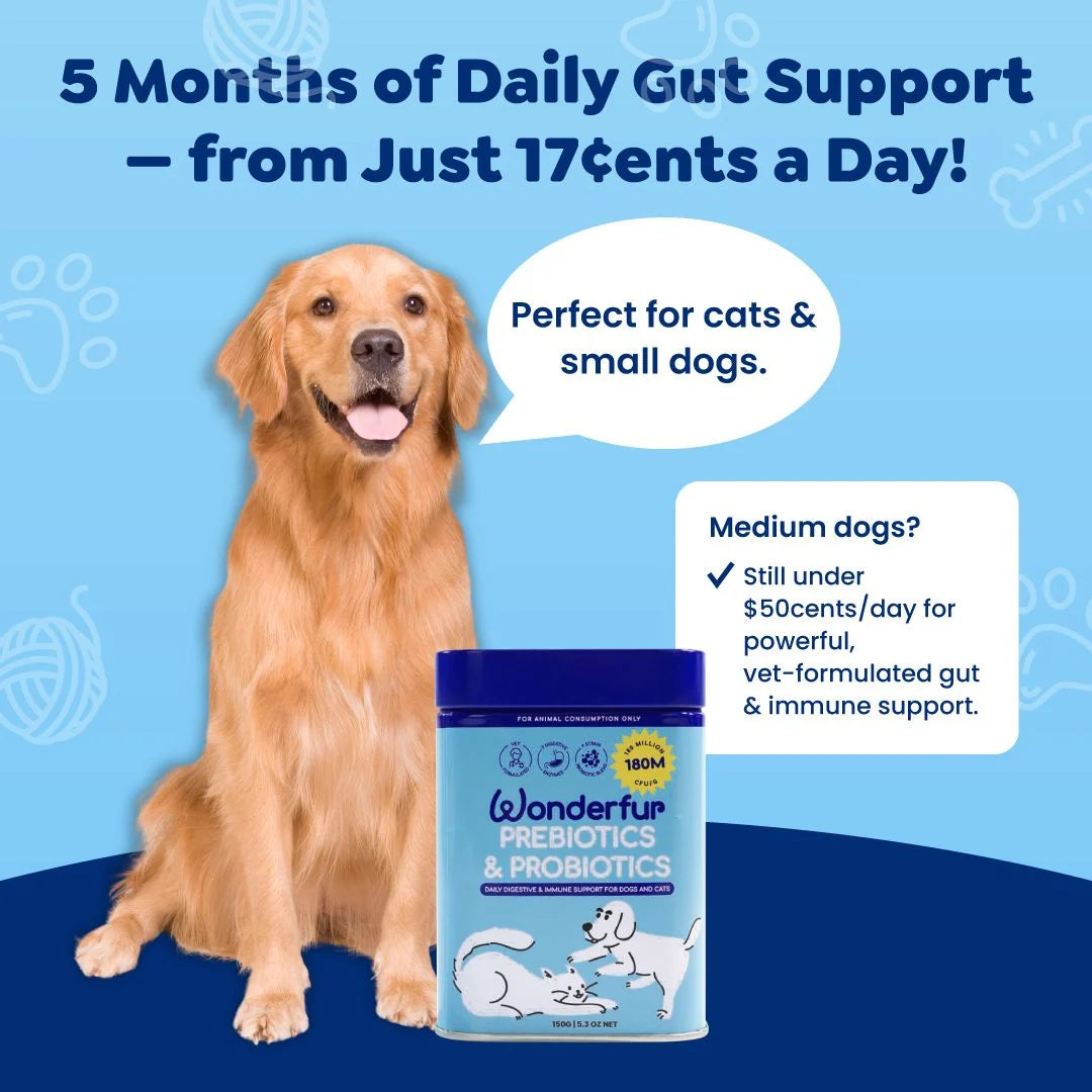 Wonderfur Prebiotics and Probiotics daily serving value for cats and small dogs