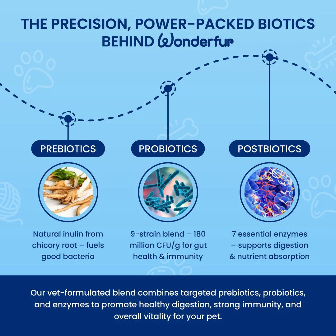 Wonderfur infographic showing its prebiotic, probiotic and digestive enzyme blend