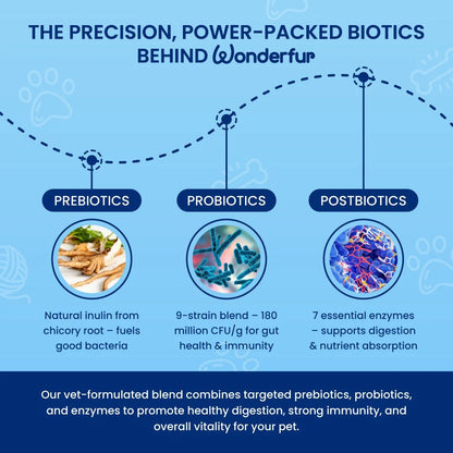 Wonderfur infographic showing its prebiotic, probiotic and digestive enzyme blend
