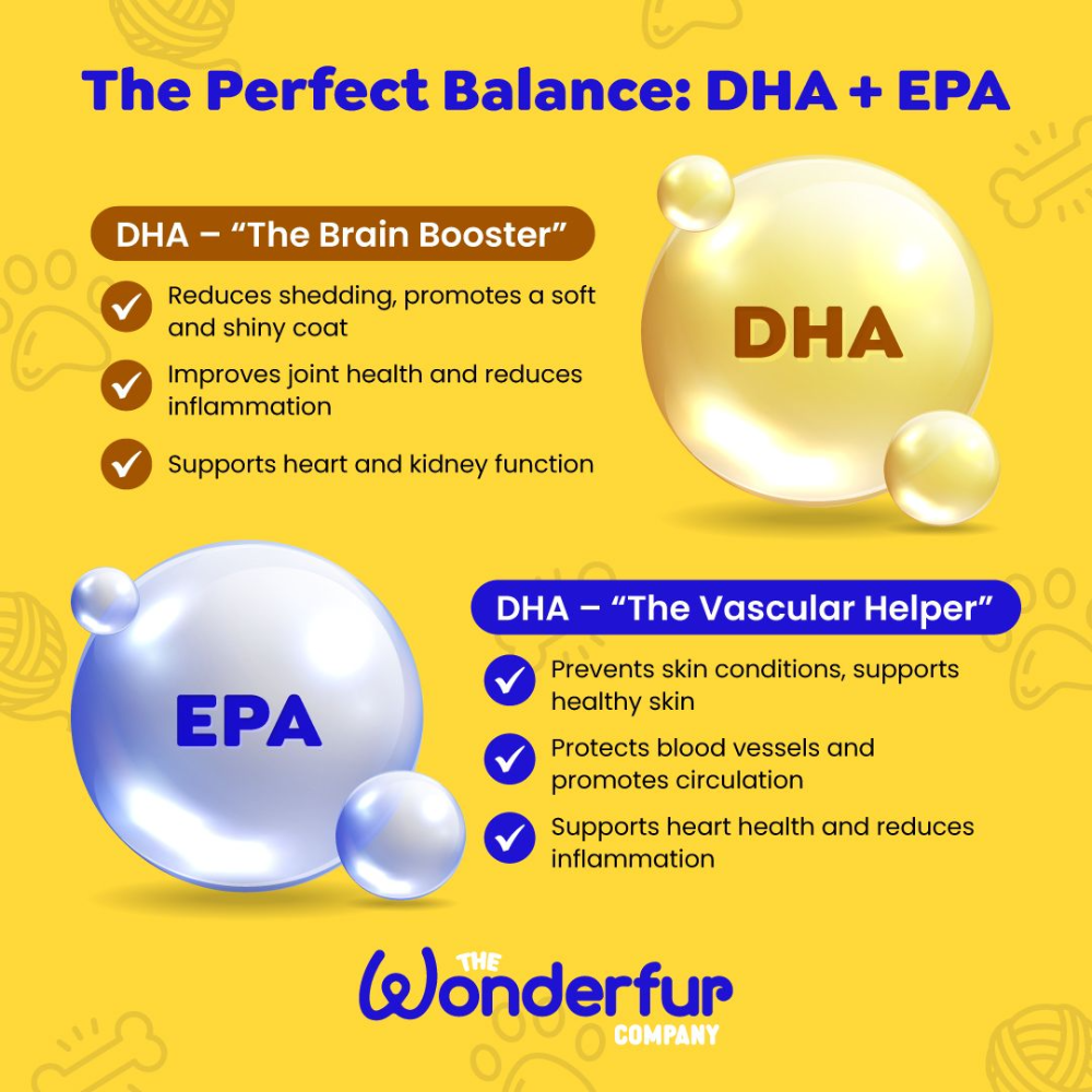 Wonderfur Super Omega Oil DHA and EPA fatty acid infographic