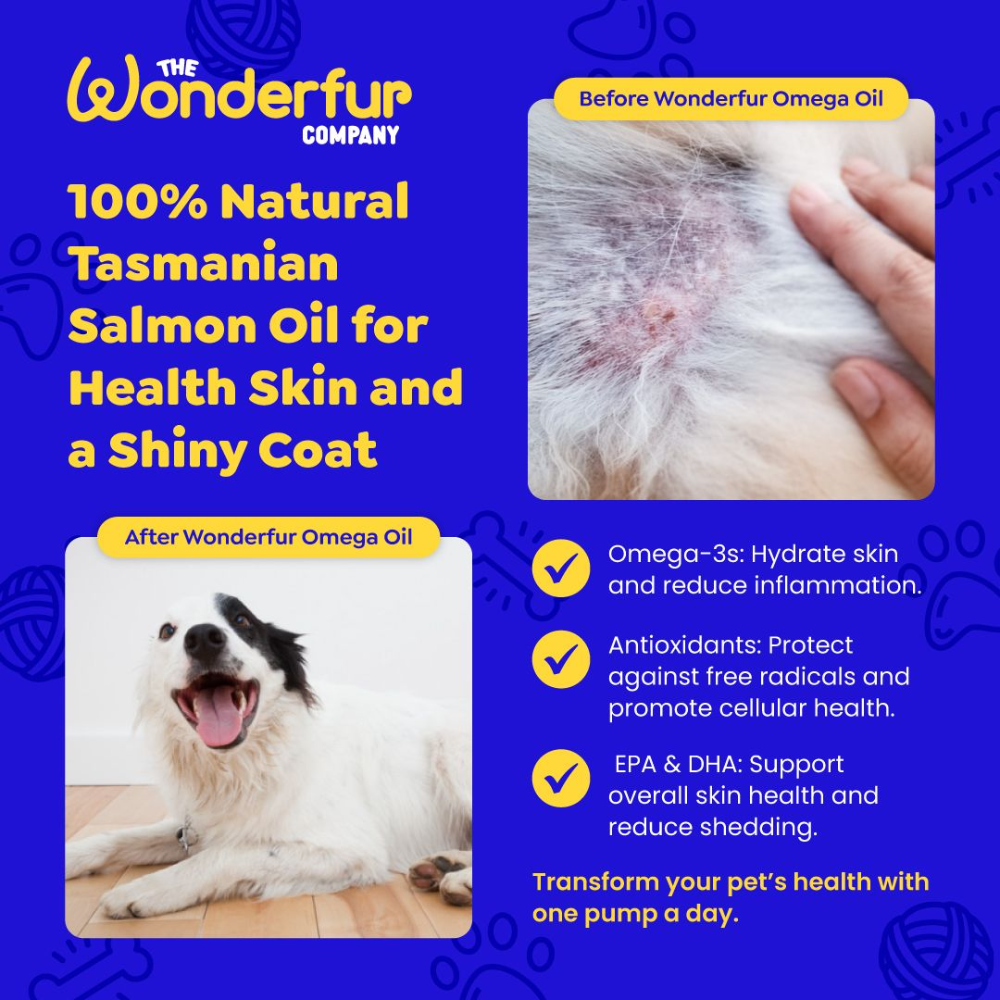 Wonderfur Super Omega Oil skin and coat before-and-after infographic