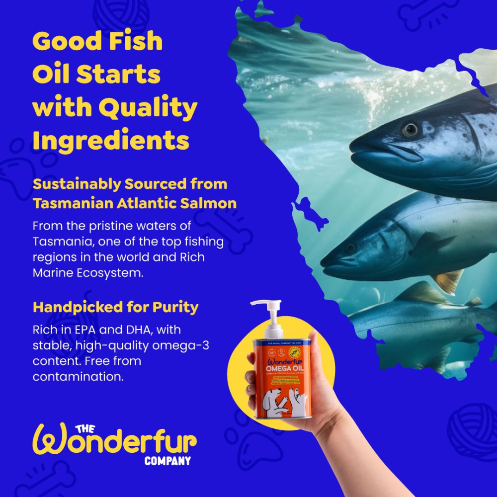 Tasmanian Atlantic salmon sourcing information for Wonderfur Super Omega Oil