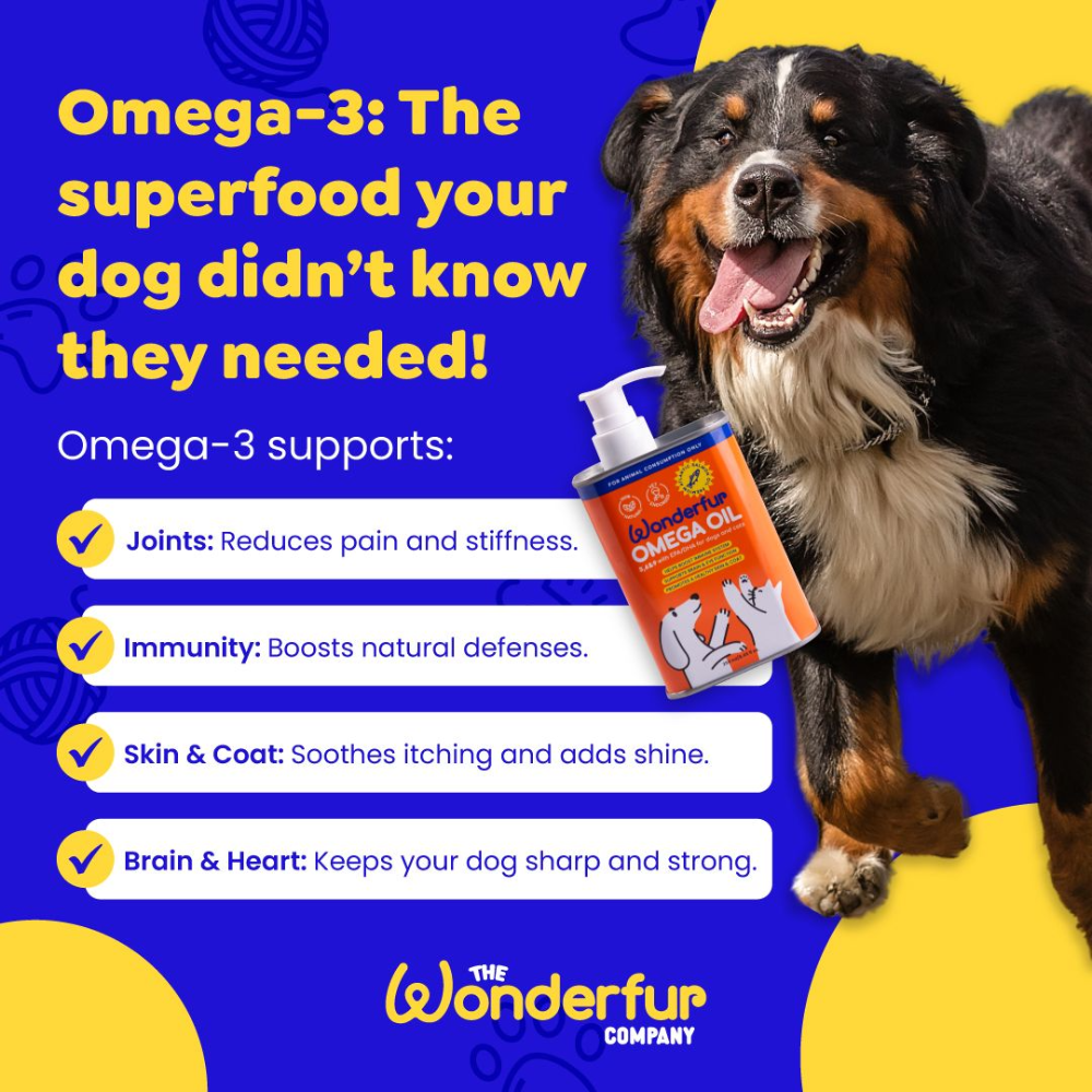 Wonderfur Super Omega Oil infographic featuring Omega-3 benefits for dogs