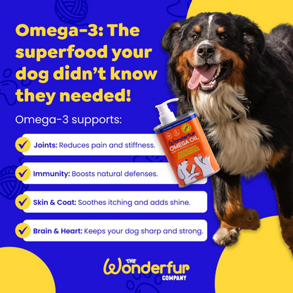 Wonderfur Super Omega Oil infographic featuring Omega-3 benefits for dogs