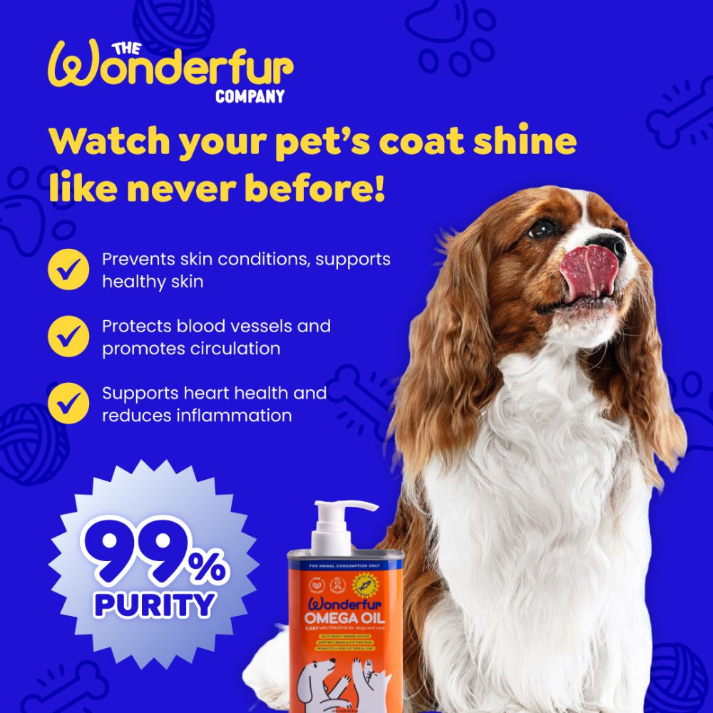 Wonderfur Super Omega salmon oil supplement with a dog on a blue background
