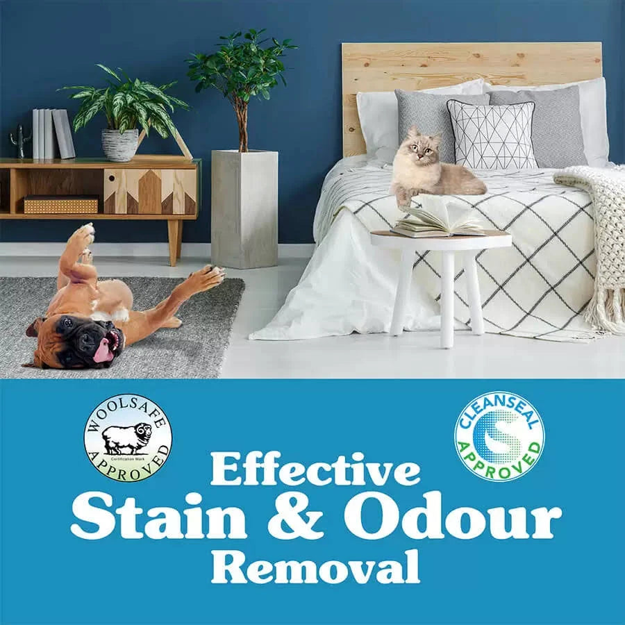 A happy dog rolling on a rug and a cat sitting on a bed in a modern bedroom, featuring the Woolsafe and Cleanseal approved logos for effective stain and odour removal.