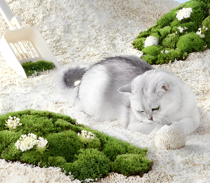 Cat lying on mixed cat litters with green plants and flowers