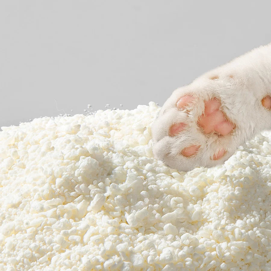 Cat paw resting on fine Xu Cuihua litter