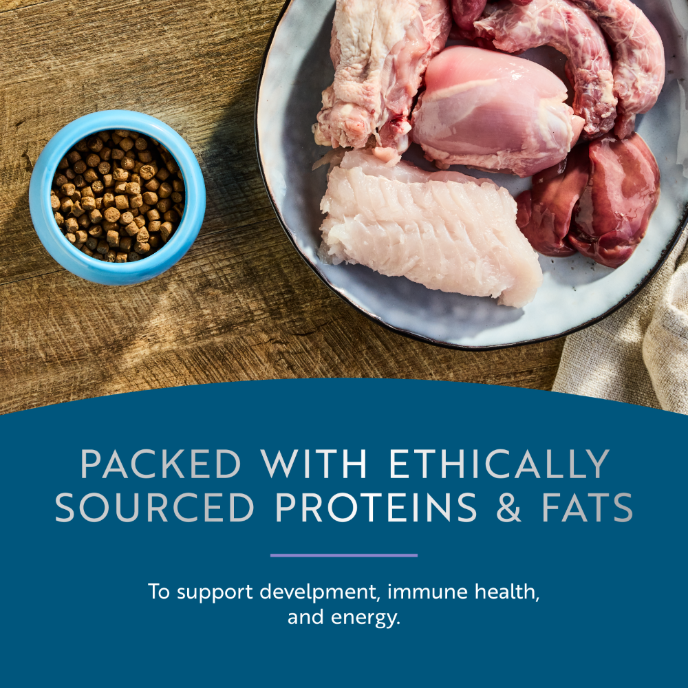 Bowl of ZIWI Peak Steam &amp; Dried kitten food beside raw chicken, organs and fish, highlighting the recipe’s ethically sourced proteins and fats.