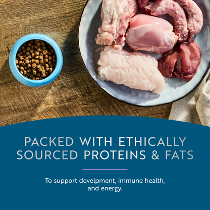Bowl of ZIWI Peak Steam &amp; Dried kitten food beside raw chicken, organs and fish, highlighting the recipe’s ethically sourced proteins and fats.