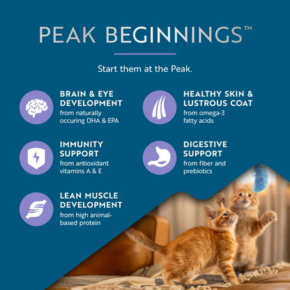 ZIWI Peak kitten nutrition graphic highlighting brain and eye development, skin and coat health, immune support, digestion and lean muscle growth.