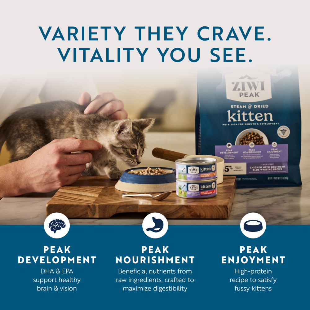 Kitten eating ZIWI Peak food with Chicken with Lamb and Beef with Mackerel wet cans and Steam &amp; Dried kitten food displayed nearby