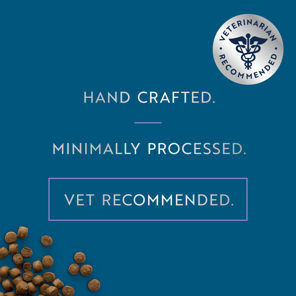 ZIWI Peak Steam &amp; Dried kitten food bites with handcrafted, minimally processed and veterinarian-recommended product messaging.